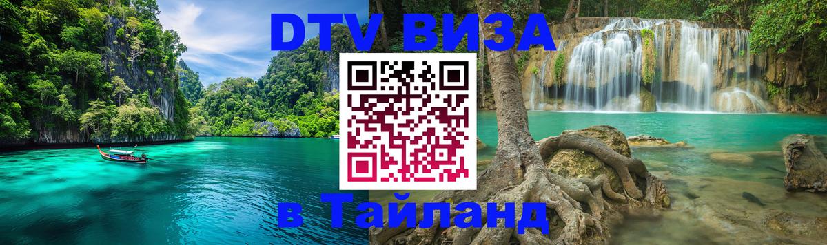 Сколько стоит DTV виза — актуальные цены, оформление даже без документов - Пушкино 